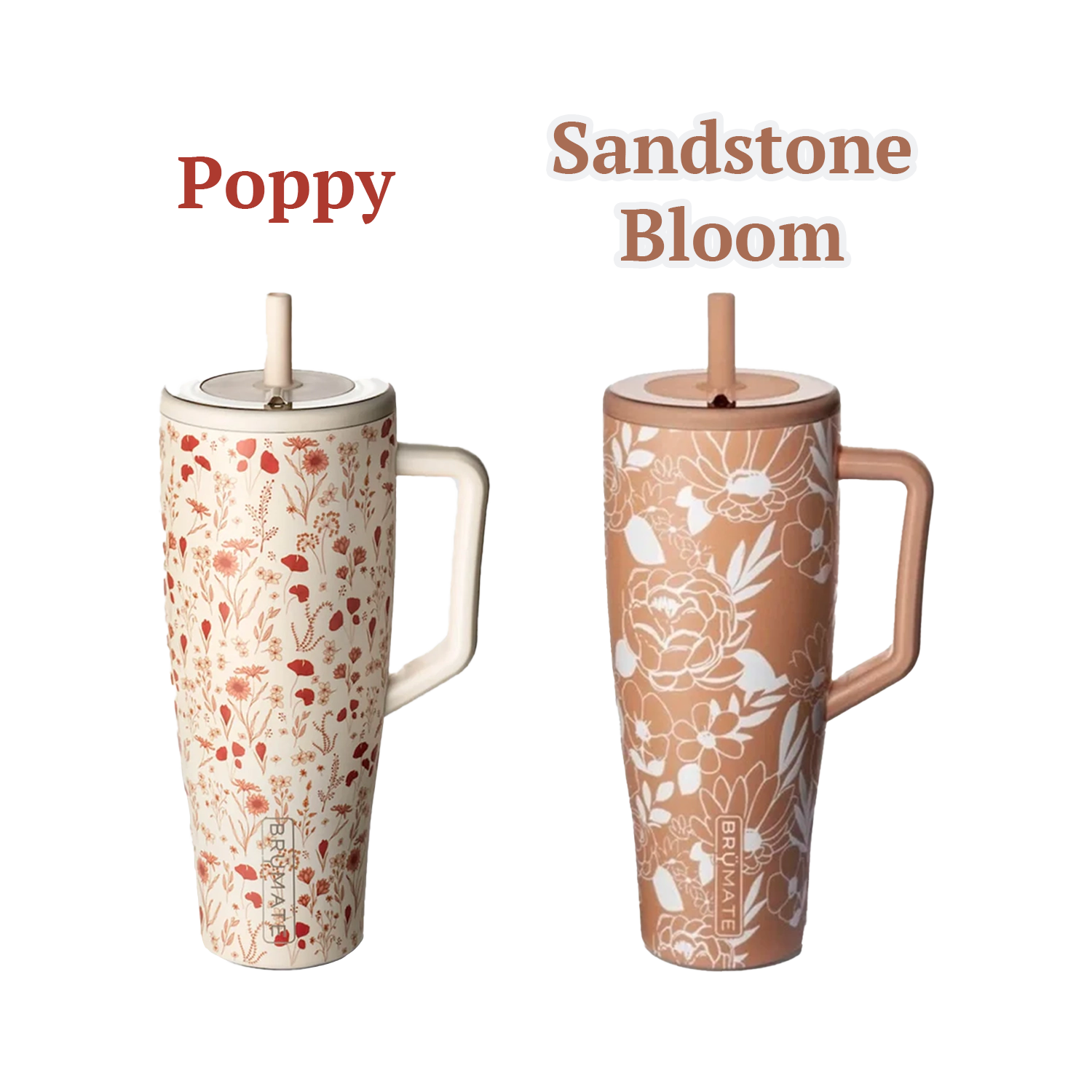 Illustration from BrüMate x Holley Gabrielle: Golden Bloom (2)